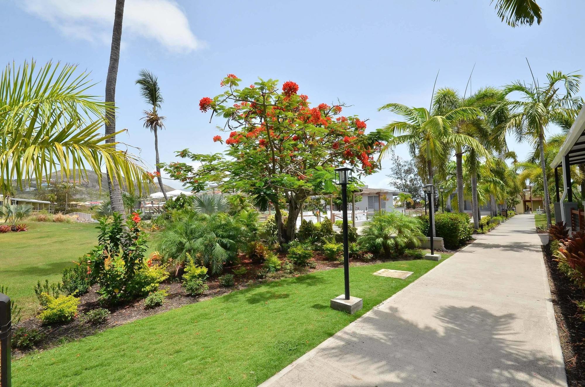 Royal St. Kitts Hotel Frigate Bay Kültér fotó